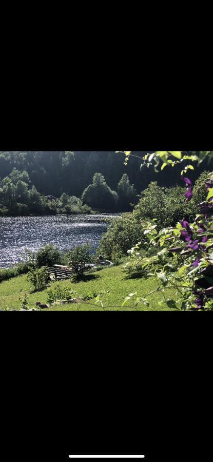 Glamping On Idyllic Lake, Paddle Boards & Rowboat Porsgrunn Eksteriør billede