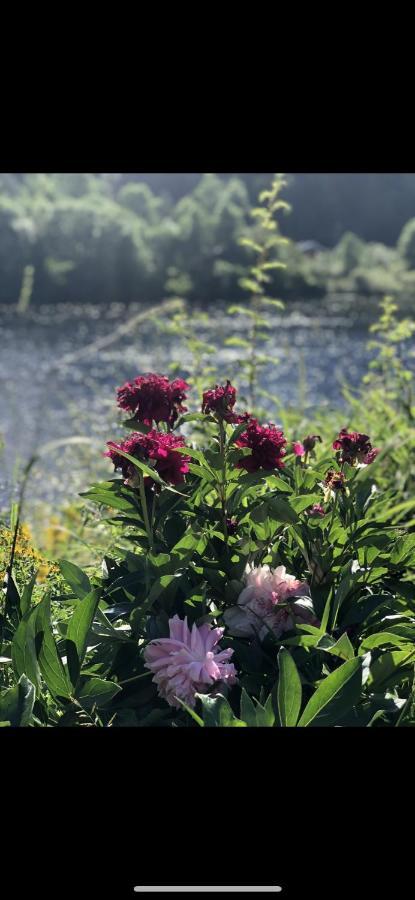 Glamping On Idyllic Lake, Paddle Boards & Rowboat Porsgrunn Eksteriør billede