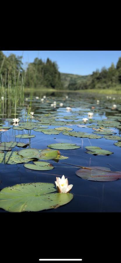 Glamping On Idyllic Lake, Paddle Boards & Rowboat Porsgrunn Eksteriør billede